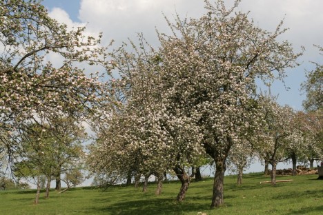 Image000071