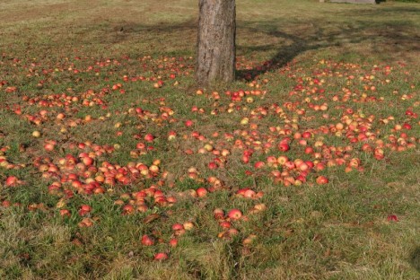 Image00009