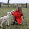 Image00026